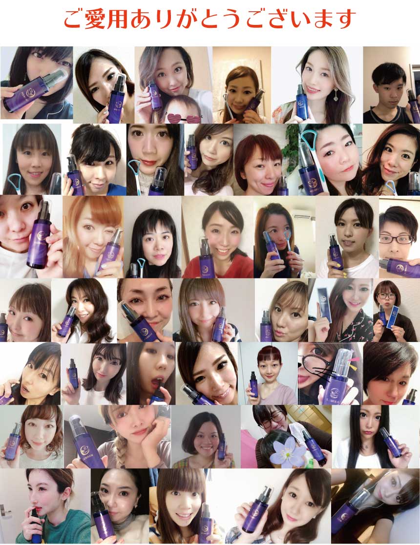 フォトギャラリー