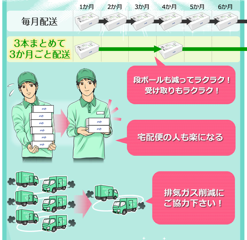 3本まとめて3か月ごと配送コース
